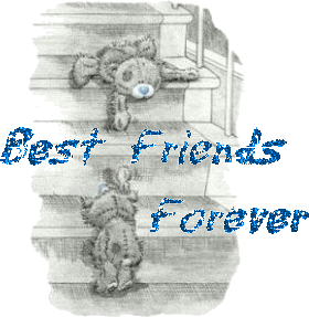 Best friends forever : meilleures amies pour la vie